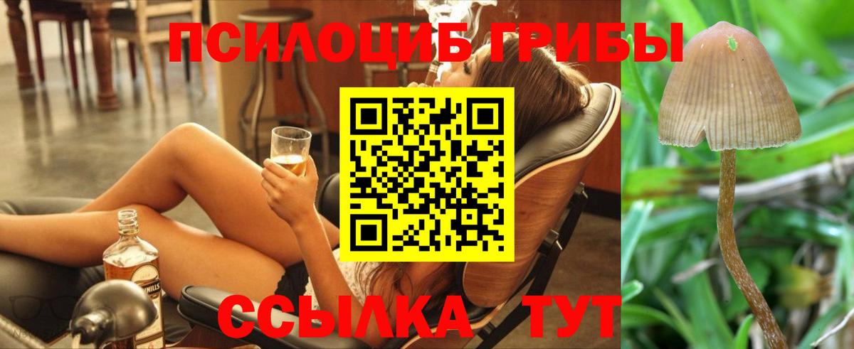Псилоцибиновые грибы Magic Shrooms  Вход с VPN  Коряжма  где можно купить   Псилоцибиновые грибы мухоморы 